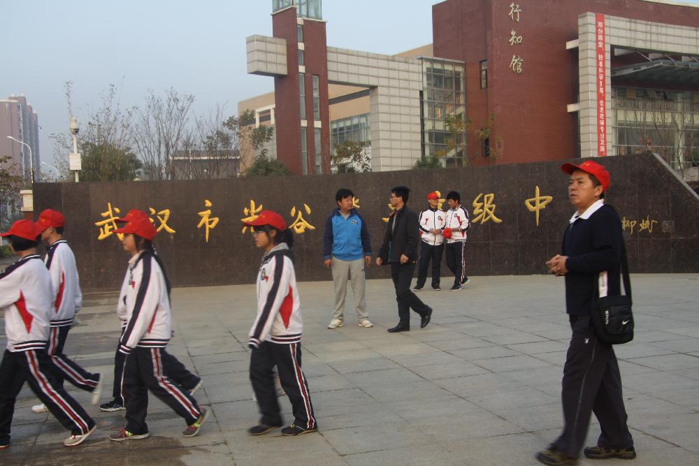 图片1
