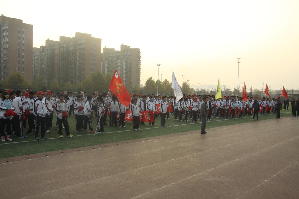 图片1