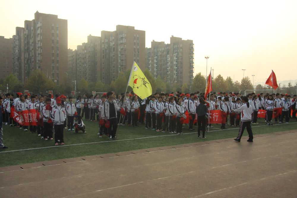 图片1