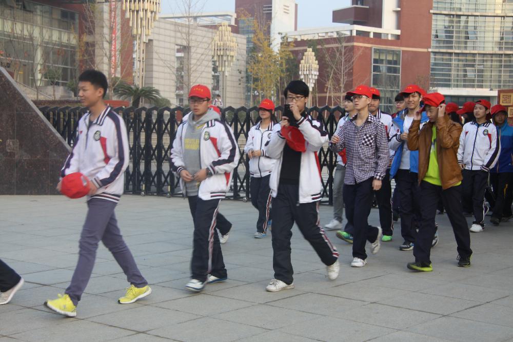 图片1