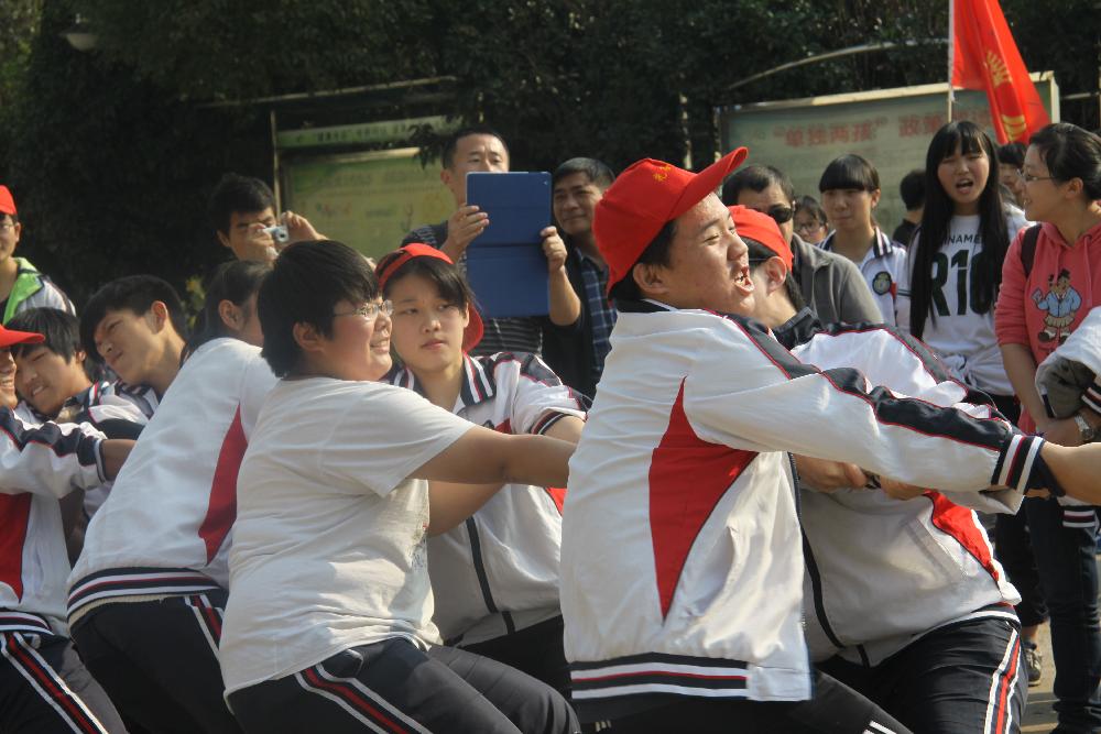 图片1