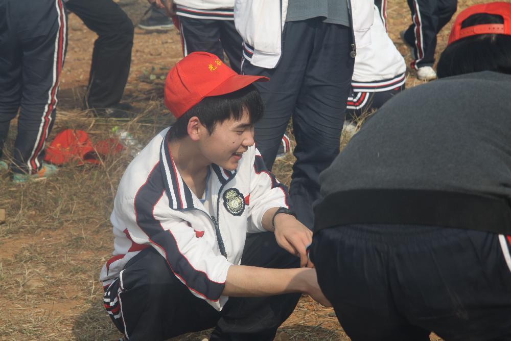 图片1