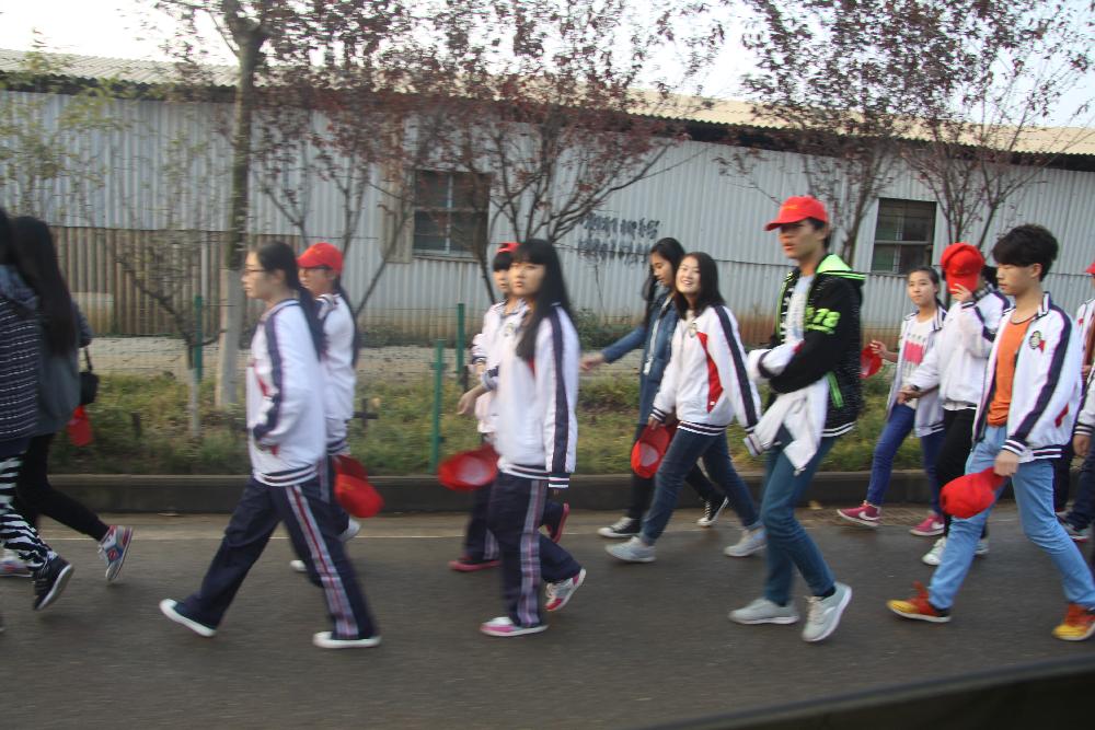 图片1