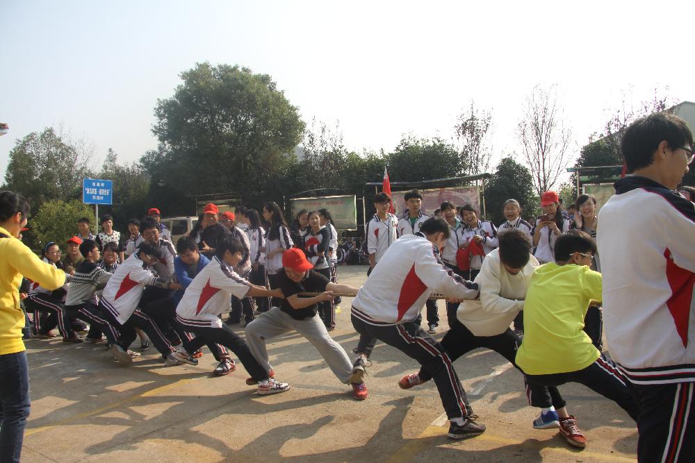 图片1