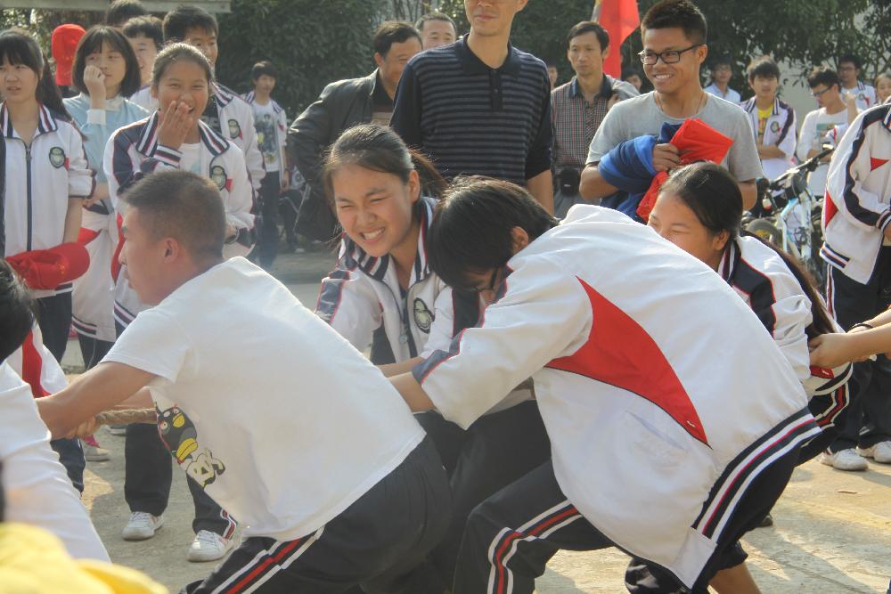 图片1