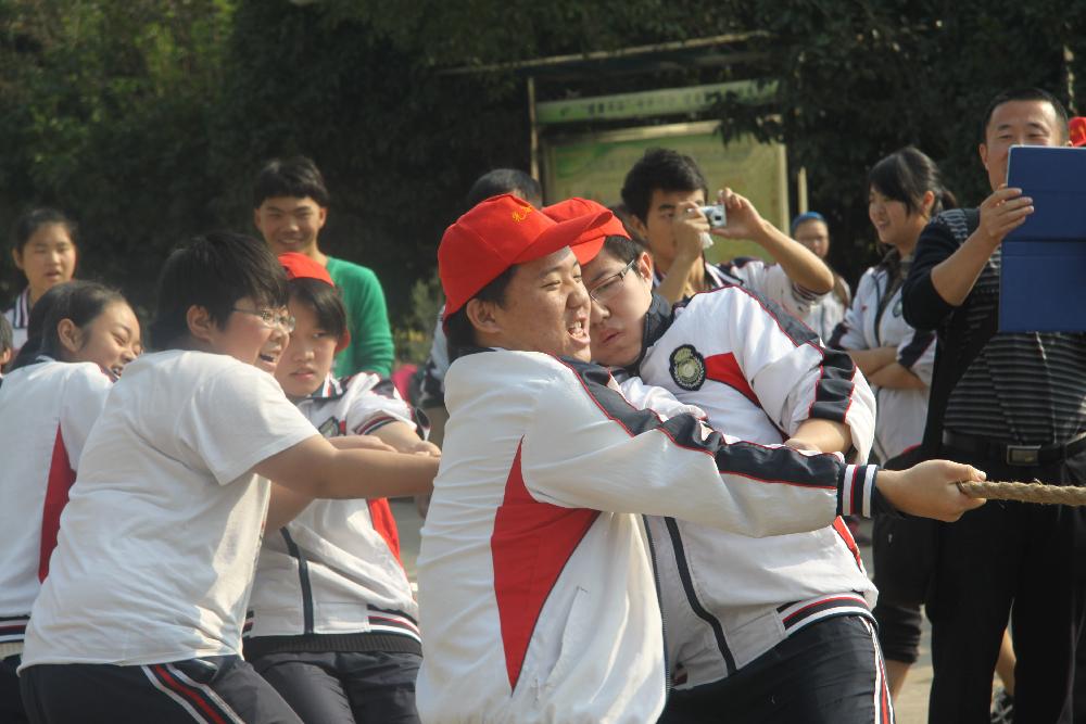 图片1
