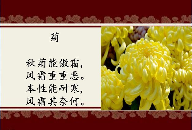 描写四君子的古诗词