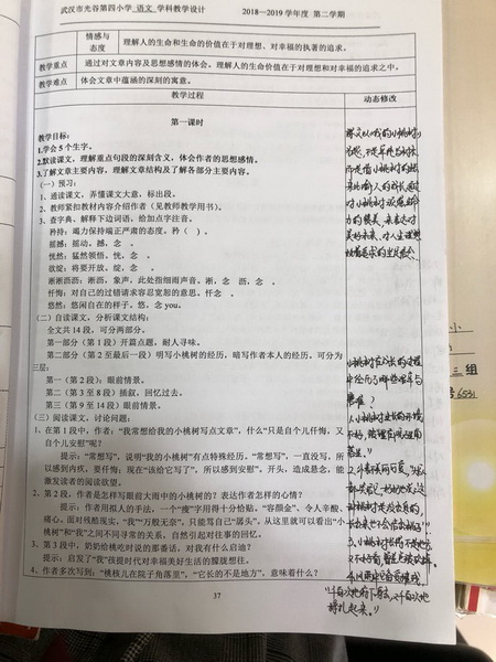 1552981298452364.jpg 3_调整大小.jpg