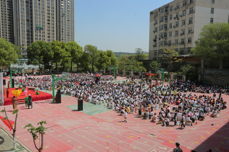 1555580420693493.jpg 观众1_调整大小.JPG