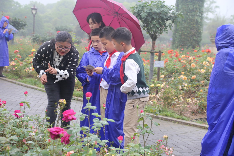 1558053697107840.jpg 4_调整大小.JPG
