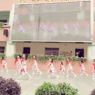 1558325275795614.gif