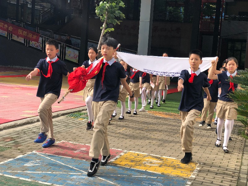 1558328041418326.jpg image