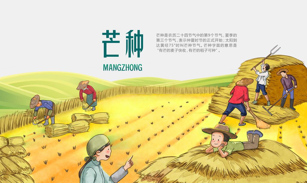 芒种--有芒可种