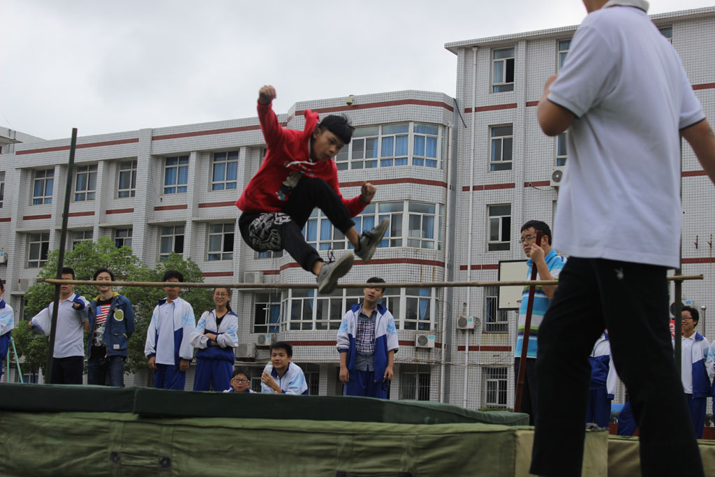 图片1